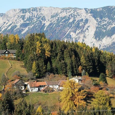 Miniferienwohnung Fuer Unkompliziertes Naturliebhaberpaerchen Пайербах Экстерьер фото