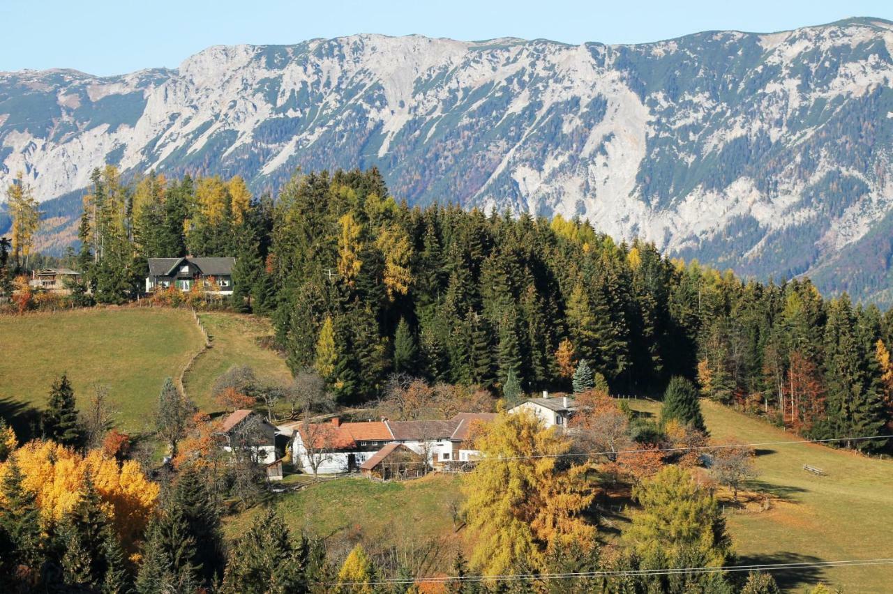 Miniferienwohnung Fuer Unkompliziertes Naturliebhaberpaerchen Пайербах Экстерьер фото
