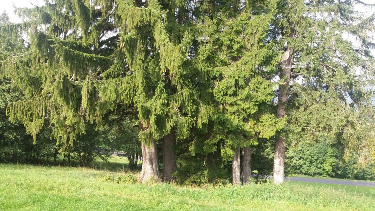 Miniferienwohnung Fuer Unkompliziertes Naturliebhaberpaerchen Пайербах Экстерьер фото